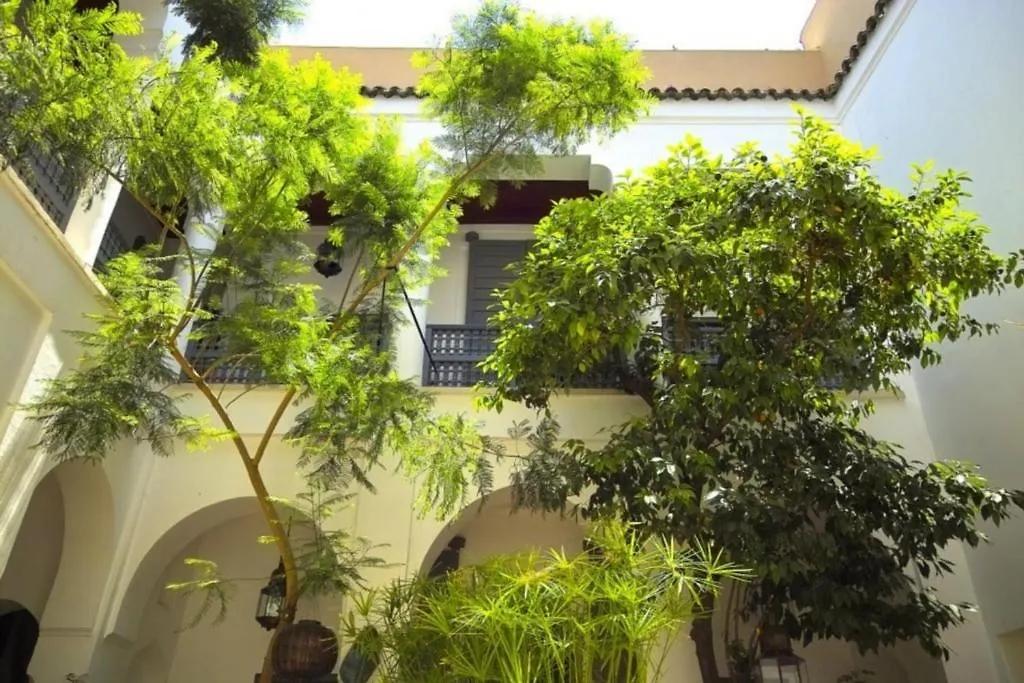 Dar Binebine Hotel Marrakesh Riad